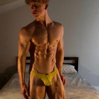 Felix Fox, Gay Porn