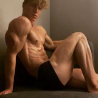 Felix Fox, Gay Porn
