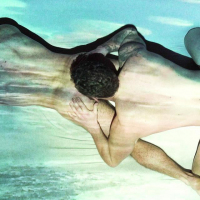 Matthew Camp  and  Wolfie Essef